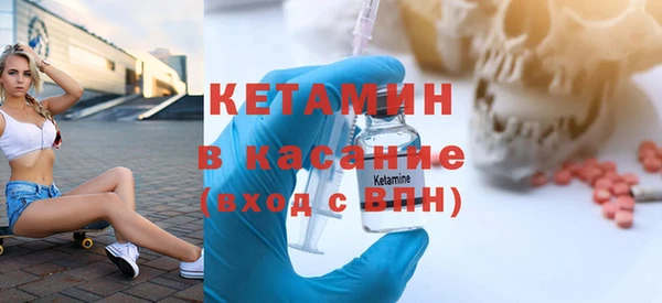 индика Новодвинск