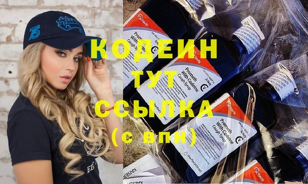 индика Новодвинск